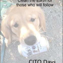 CITO